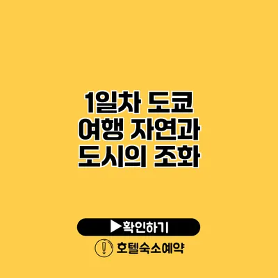 1일차 도쿄 여행 자연과 도시의 조화