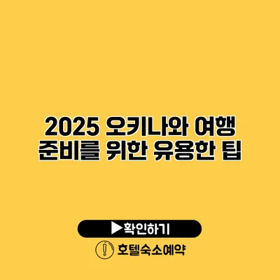 2025 오키나와 여행 준비를 위한 유용한 팁