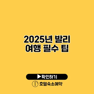 2025년 발리 여행 필수 팁