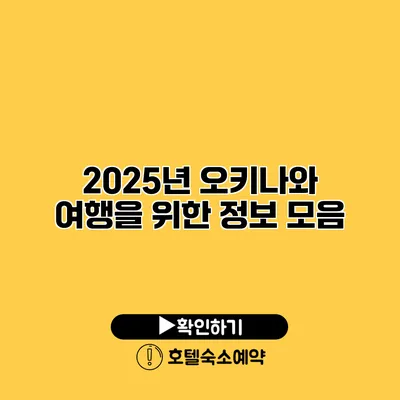 2025년 오키나와 여행을 위한 정보 모음