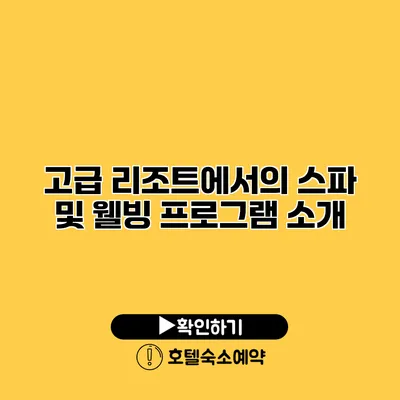 고급 리조트에서의 스파 및 웰빙 프로그램 소개