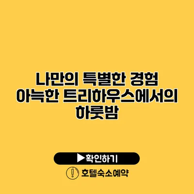 나만의 특별한 경험 아늑한 트리하우스에서의 하룻밤