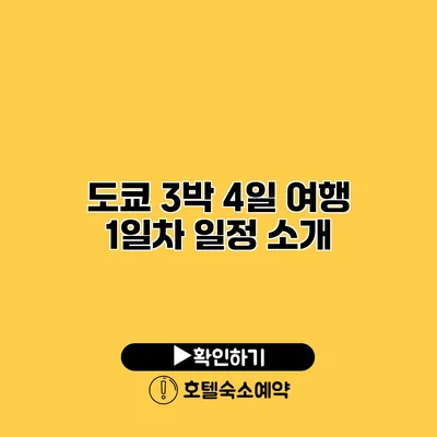 도쿄 3박 4일 여행 1일차 일정 소개