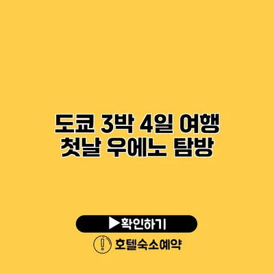 도쿄 3박 4일 여행 첫날 우에노 탐방