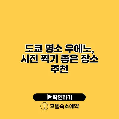 도쿄 명소 우에노, 사진 찍기 좋은 장소 추천