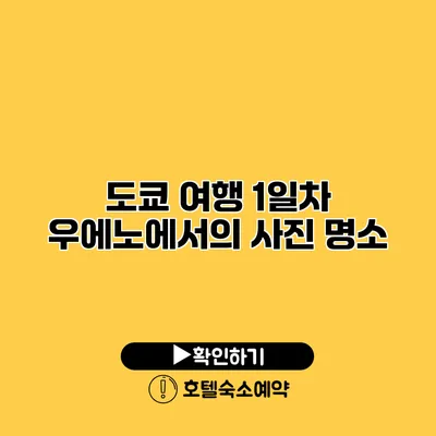 도쿄 여행 1일차 우에노에서의 사진 명소