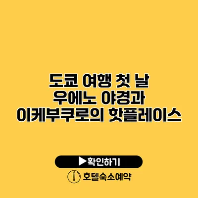 도쿄 여행 첫 날 우에노 야경과 이케부쿠로의 핫플레이스