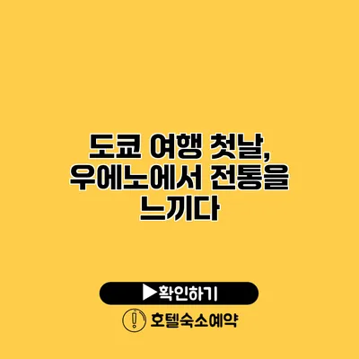 도쿄 여행 첫날, 우에노에서 전통을 느끼다