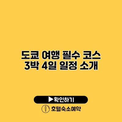 도쿄 여행 필수 코스 3박 4일 일정 소개