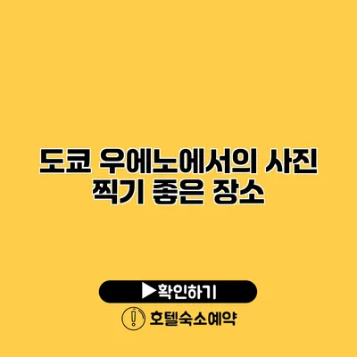 도쿄 우에노에서의 사진 찍기 좋은 장소