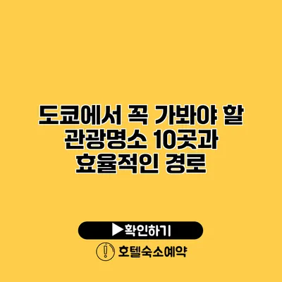 도쿄에서 꼭 가봐야 할 관광명소 10곳과 효율적인 경로