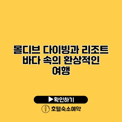 몰디브 다이빙과 리조트 바다 속의 환상적인 여행