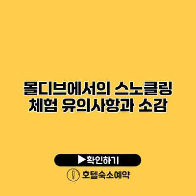 몰디브에서의 스노클링 체험 유의사항과 소감