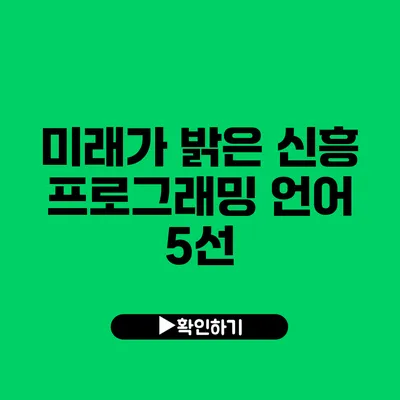 미래가 밝은 신흥 프로그래밍 언어 5선