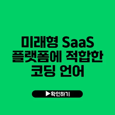 미래형 SaaS 플랫폼에 적합한 코딩 언어