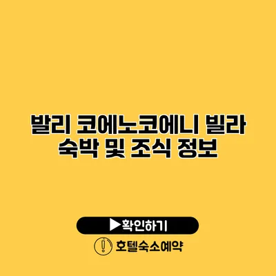 발리 코에노코에니 빌라 숙박 및 조식 정보