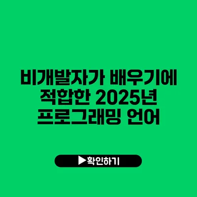 비개발자가 배우기에 적합한 2025년 프로그래밍 언어