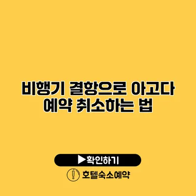 비행기 결항으로 아고다 예약 취소하는 법