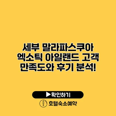 세부 말라파스쿠아 엑소틱 아일랜드 고객 만족도와 후기 분석!