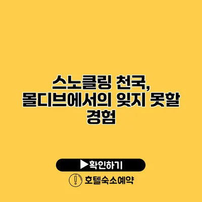 스노클링 천국, 몰디브에서의 잊지 못할 경험