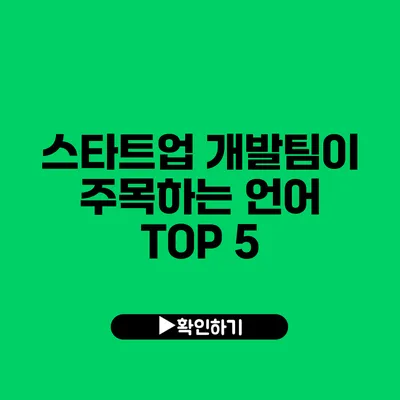 스타트업 개발팀이 주목하는 언어 TOP 5