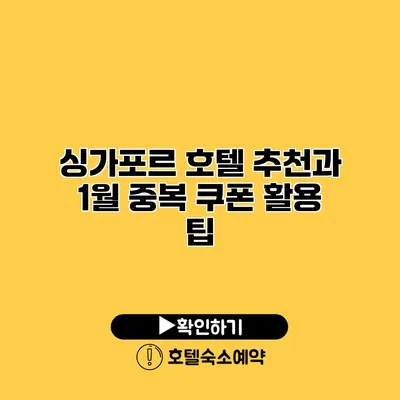 싱가포르 호텔 추천과 1월 중복 쿠폰 활용 팁