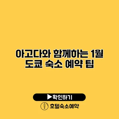 아고다와 함께하는 1월 도쿄 숙소 예약 팁