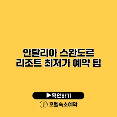 안탈리아 스완도르 리조트 최저가 예약 팁