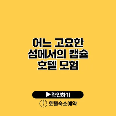 어느 고요한 섬에서의 캡슐 호텔 모험