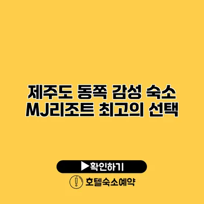 제주도 동쪽 감성 숙소 MJ리조트 최고의 선택