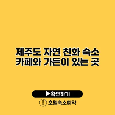 제주도 자연 친화 숙소 카페와 가든이 있는 곳