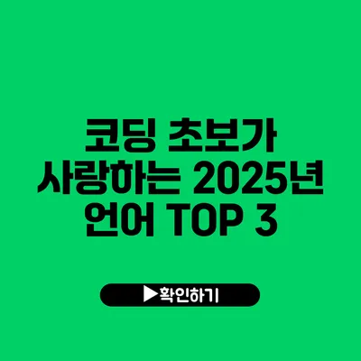 코딩 초보가 사랑하는 2025년 언어 TOP 3