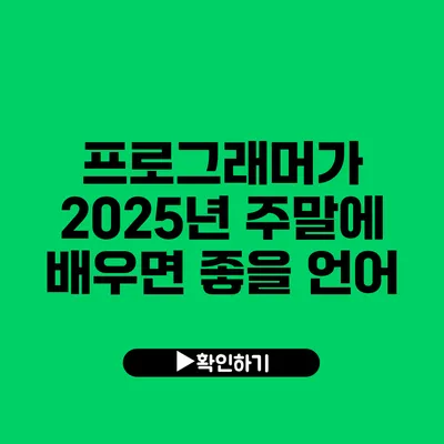 프로그래머가 2025년 주말에 배우면 좋을 언어