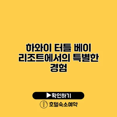 하와이 터틀 베이 리조트에서의 특별한 경험