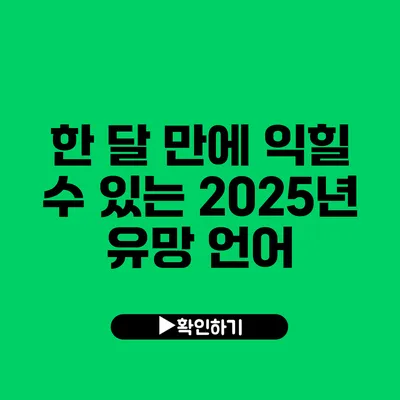 한 달 만에 익힐 수 있는 2025년 유망 언어