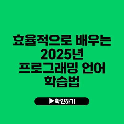 효율적으로 배우는 2025년 프로그래밍 언어 학습법