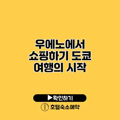 우에노에서 쇼핑하기 도쿄 여행의 시작